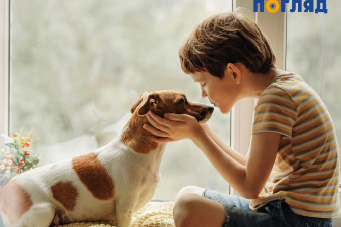 Погляд — новини Київщини онлайн - a1655141-0177-45b7-84a0-1cbf891b03ed - зображення